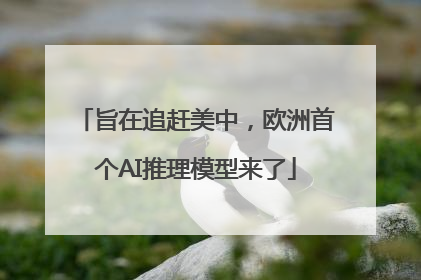 旨在追赶美中，欧洲首个AI推理模型来了