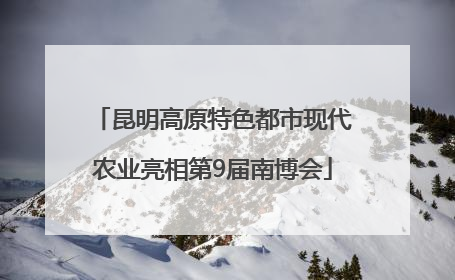 昆明高原特色都市现代农业亮相第9届南博会