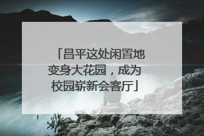 昌平这处闲置地变身大花园，成为校园崭新会客厅
