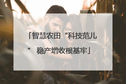 智慧农田“科技范儿” 稳产增收根基牢