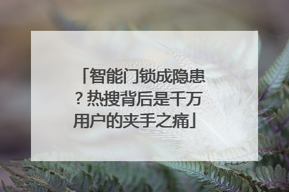 智能门锁成隐患？热搜背后是千万用户的夹手之痛