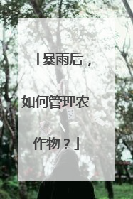 暴雨后，如何管理农作物？