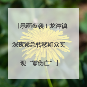 暴雨夜袭！龙潭镇深夜紧急转移群众实现“零伤亡”