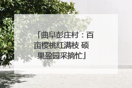 曲阜彭庄村：百亩樱桃红满枝 硕果盈园采摘忙