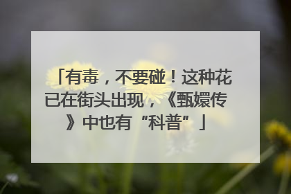 有毒，不要碰！这种花已在街头出现，《甄嬛传》中也有“科普”