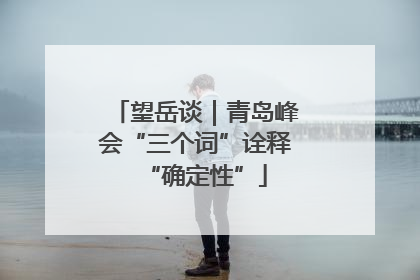 望岳谈｜青岛峰会“三个词”诠释“确定性”
