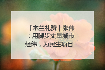 木兰礼赞｜张伟：用脚步丈量城市经纬，为民生项目按下“加速键”