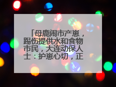 母鹿闹市产崽，踢伤提供水和食物市民，大连动保人士：护崽心切，正在想法送回山里