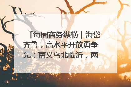 每周商务纵横｜海岱齐鲁，高水平开放勇争先；南义乌北临沂，两扇窗里观外贸