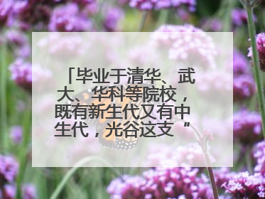 毕业于清华、武大、华科等院校，既有新生代又有中生代，光谷这支“理工男团”为何“出道”？