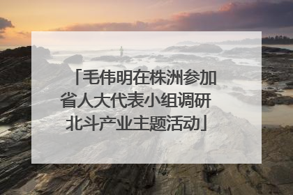 毛伟明在株洲参加省人大代表小组调研北斗产业主题活动
