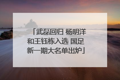 武磊回归 杨明洋和王钰栋入选 国足新一期大名单出炉