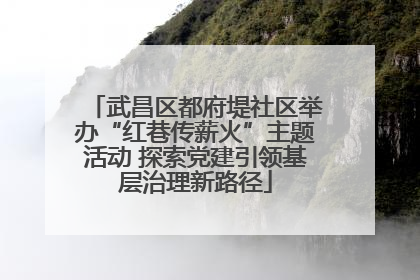 武昌区都府堤社区举办“红巷传薪火”主题活动 探索党建引领基层治理新路径