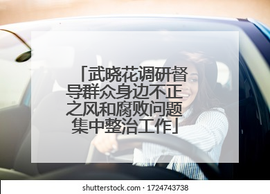 武晓花调研督导群众身边不正之风和腐败问题集中整治工作