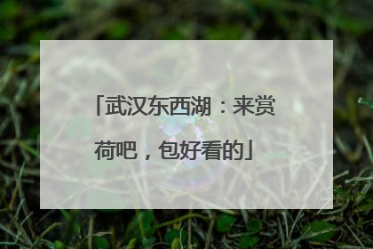 武汉东西湖：来赏荷吧，包好看的