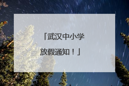 武汉中小学放假通知！