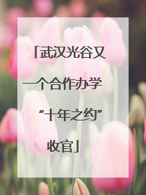 武汉光谷又一个合作办学“十年之约”收官