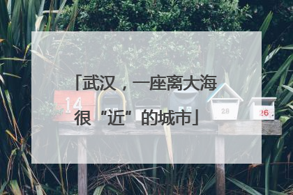 武汉，一座离大海很“近”的城市