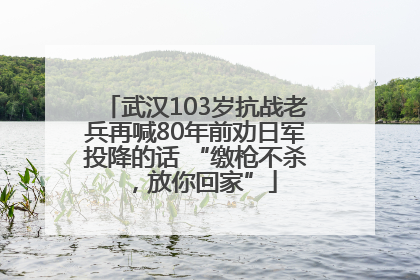 武汉103岁抗战老兵再喊80年前劝日军投降的话 “缴枪不杀，放你回家”