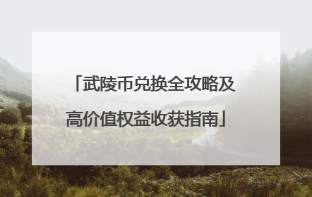 武陵币兑换全攻略及高价值权益收获指南