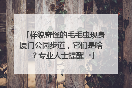 样貌奇怪的毛毛虫现身厦门公园步道，它们是啥？专业人士提醒→