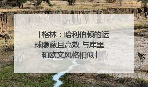 格林：哈利伯顿的运球隐蔽且高效 与库里和欧文风格相似