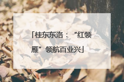 桂东东洛：“红领雁”领航百业兴
