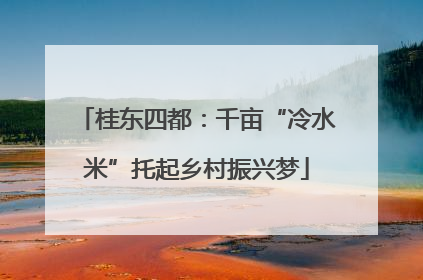 桂东四都：千亩“冷水米”托起乡村振兴梦