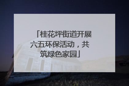 桂花坪街道开展六五环保活动，共筑绿色家园