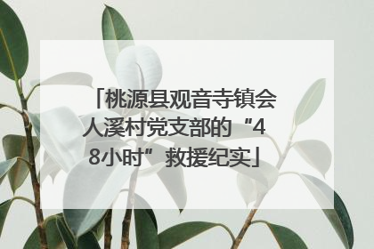 桃源县观音寺镇会人溪村党支部的“48小时”救援纪实