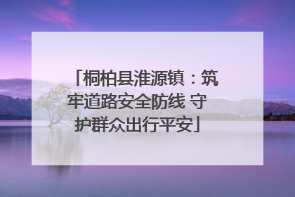 桐柏县淮源镇：筑牢道路安全防线 守护群众出行平安