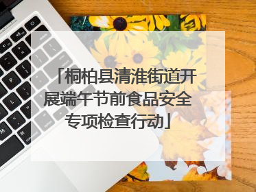 桐柏县清淮街道开展端午节前食品安全专项检查行动