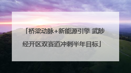 桥梁动脉+新能源引擎 武陟经开区双赛道冲刺半年目标