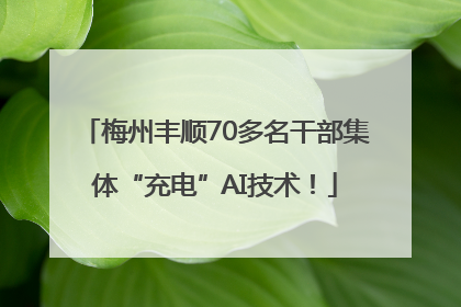 梅州丰顺70多名干部集体“充电”AI技术！