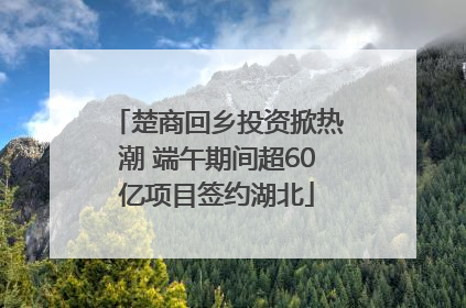楚商回乡投资掀热潮 端午期间超60亿项目签约湖北