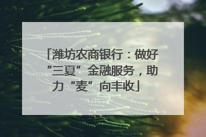 潍坊农商银行：做好“三夏”金融服务，助力“麦”向丰收