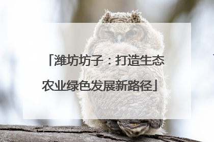 潍坊坊子：打造生态农业绿色发展新路径