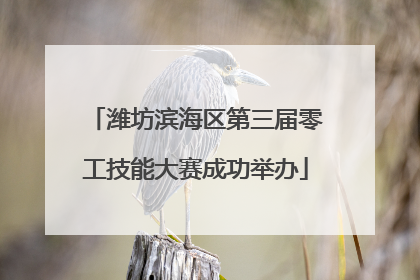 潍坊滨海区第三届零工技能大赛成功举办