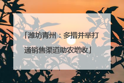 潍坊青州：多措并举打通销售渠道助农增收