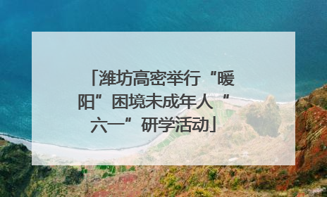 潍坊高密举行“暖阳”困境未成年人“六一”研学活动