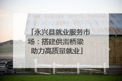 永兴县就业服务市场：搭建供需桥梁 助力高质量就业