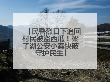 民警烈日下追回村民被盗西瓜！梁子湖公安小案快破守护民生