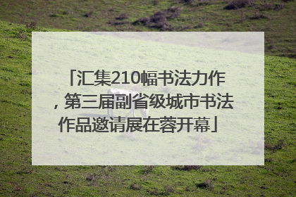 汇集210幅书法力作，第三届副省级城市书法作品邀请展在蓉开幕