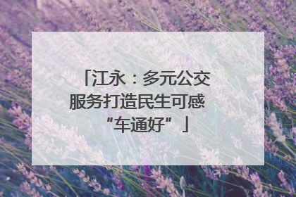 江永：多元公交服务打造民生可感“车通好”