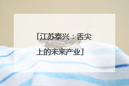 江苏泰兴：舌尖上的未来产业