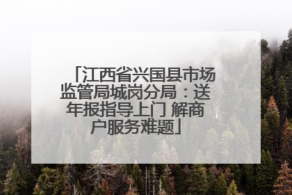 江西省兴国县市场监管局城岗分局：送年报指导上门 解商户服务难题