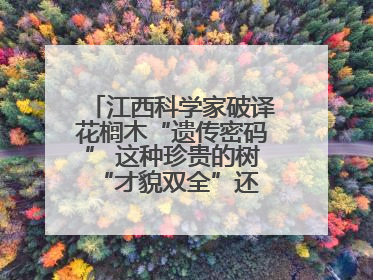 江西科学家破译花榈木“遗传密码” 这种珍贵的树 “才貌双全”还能抗“EMO”