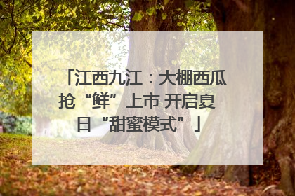 江西九江：大棚西瓜抢“鲜”上市 开启夏日“甜蜜模式”