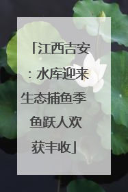 江西吉安：水库迎来生态捕鱼季 鱼跃人欢获丰收