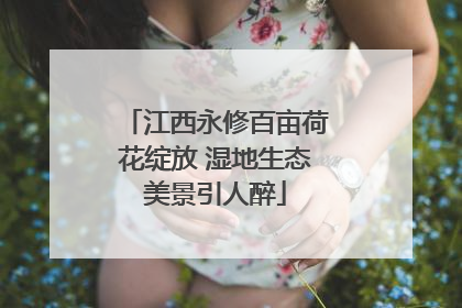 江西永修百亩荷花绽放 湿地生态美景引人醉